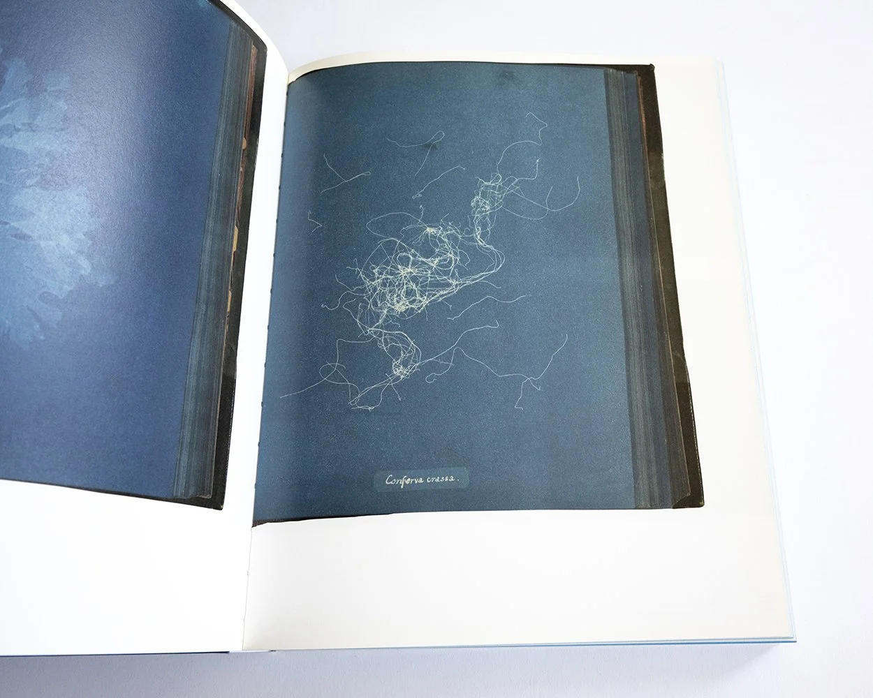 Richard Prince: American Prayer — bookdummypress